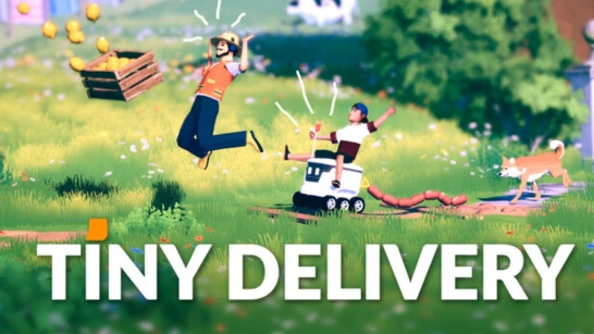 Tiny Delivery